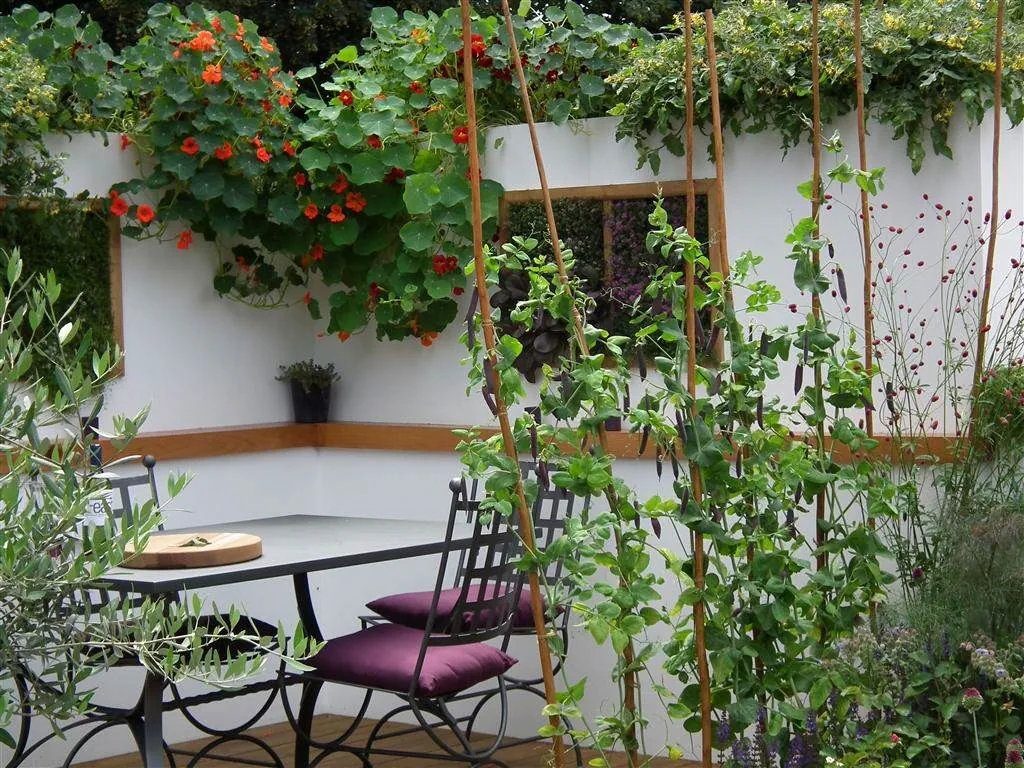 Potential feast   al fresco dining